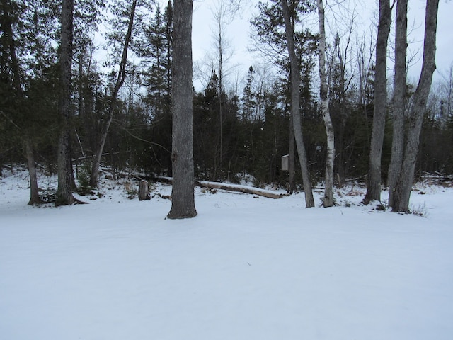 view of yard covered in snow