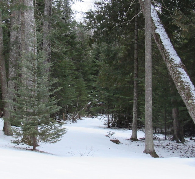 view of snowy view