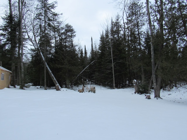 view of snowy yard