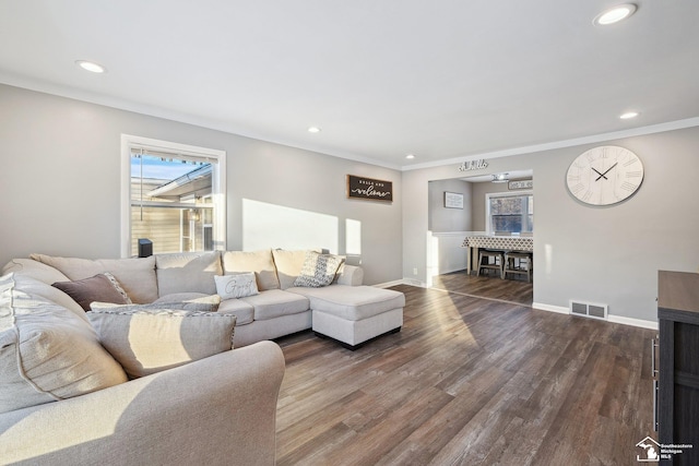 living room featuring dark wood-type flooring and crown molding