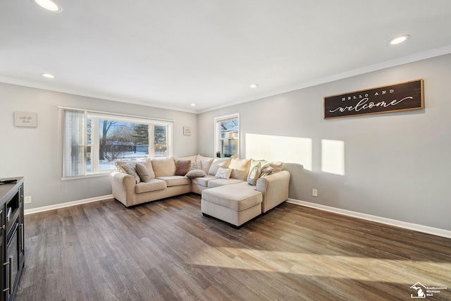 living room with hardwood / wood-style floors and crown molding