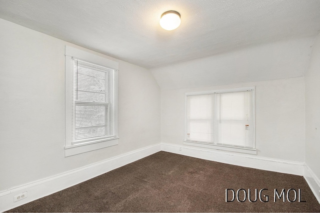 carpeted empty room featuring a textured ceiling and lofted ceiling