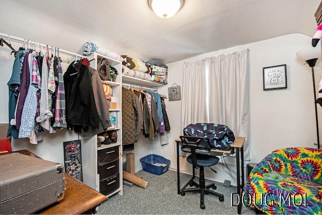 walk in closet with carpet