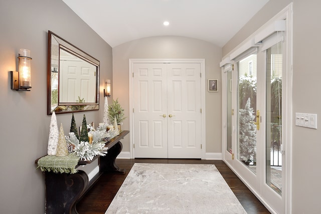 entryway featuring vaulted ceiling and dark wood-type flooring