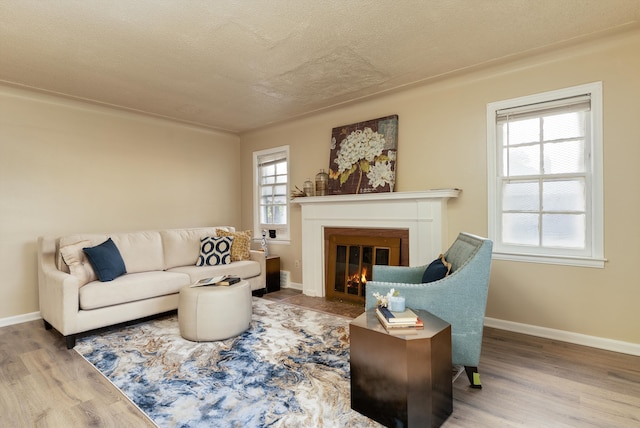 living room with wood-type flooring and a textured ceiling