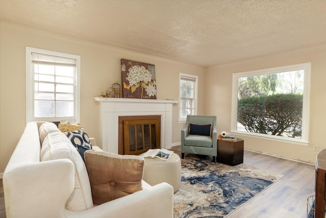 living room with hardwood / wood-style flooring and a textured ceiling