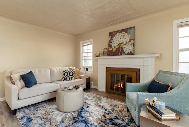 living room with a textured ceiling and wood-type flooring