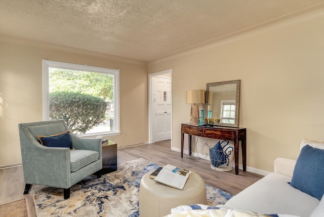 living room featuring light hardwood / wood-style flooring and a textured ceiling