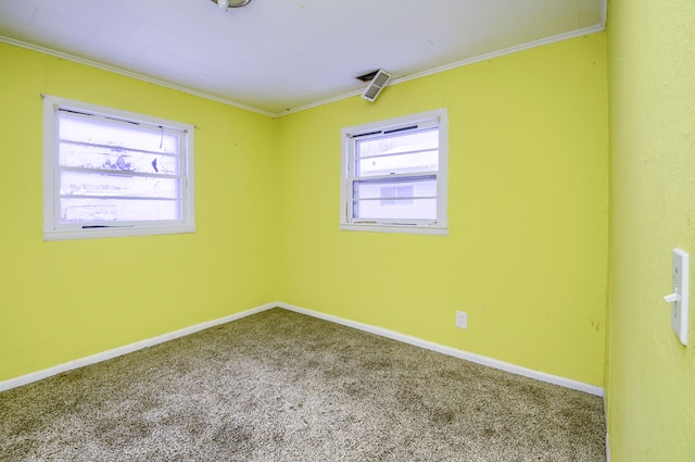 empty room featuring carpet and crown molding