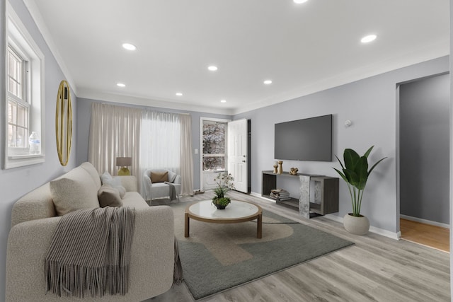 living room with light hardwood / wood-style flooring