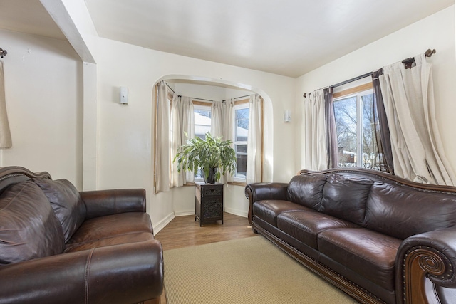 living room with a healthy amount of sunlight and wood-type flooring