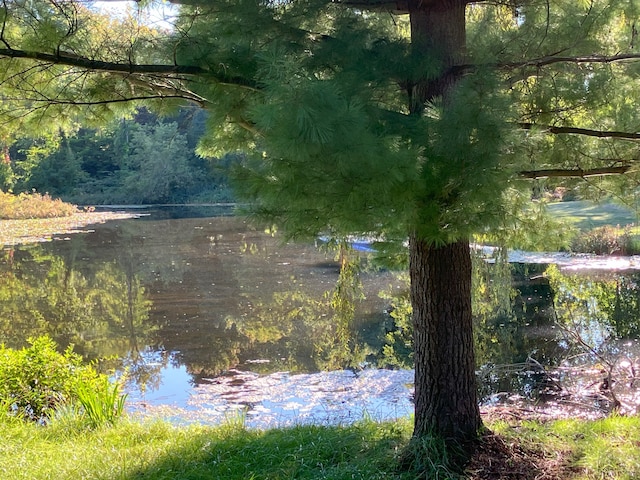 view of water feature