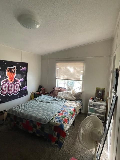 carpeted bedroom with vaulted ceiling and a textured ceiling