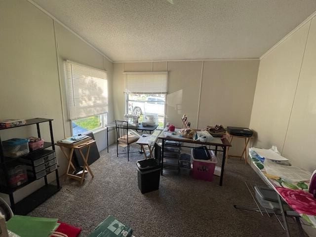 miscellaneous room featuring carpet floors, a textured ceiling, and vaulted ceiling