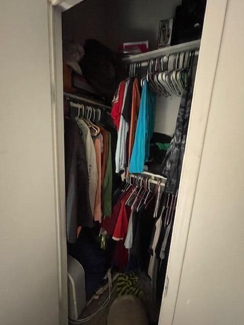 view of closet