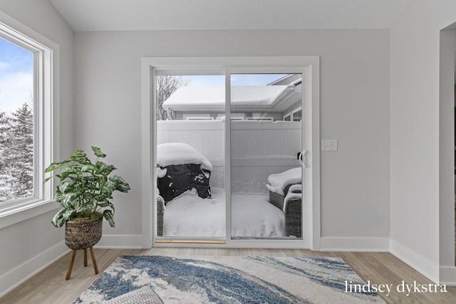 entryway with a wealth of natural light, baseboards, and wood finished floors