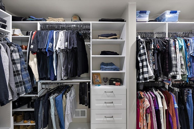 view of spacious closet