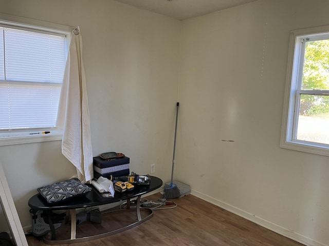 sitting room with wood-type flooring