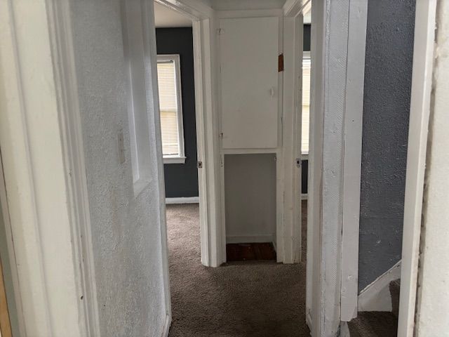 hallway featuring carpet floors