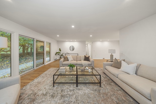 living room featuring wood-type flooring