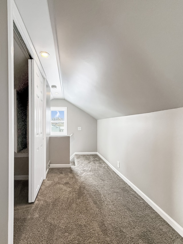 additional living space with carpet floors, baseboards, and vaulted ceiling