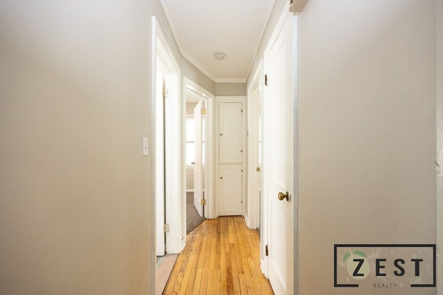 hall featuring crown molding and light hardwood / wood-style floors