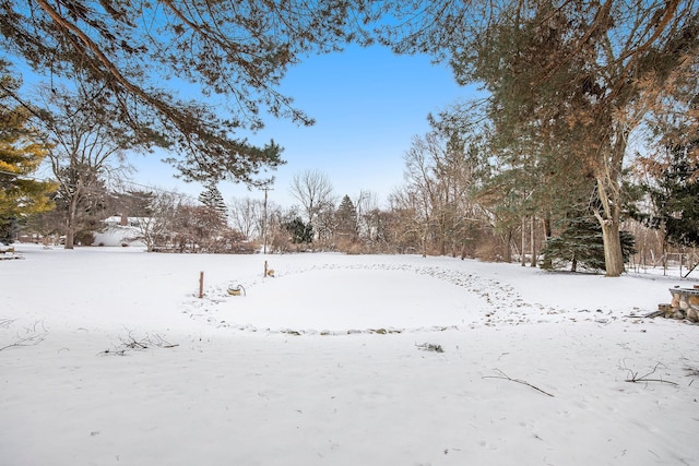 view of snowy yard