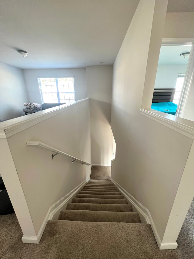 stairway with carpet floors