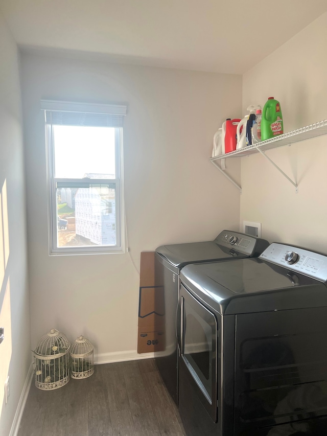 washroom featuring separate washer and dryer and dark hardwood / wood-style floors