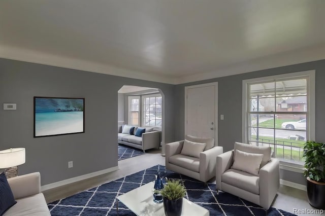 living room featuring a healthy amount of sunlight