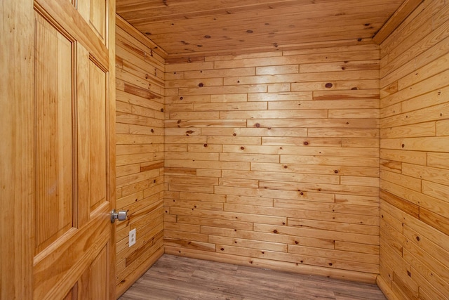 view of sauna featuring hardwood / wood-style flooring