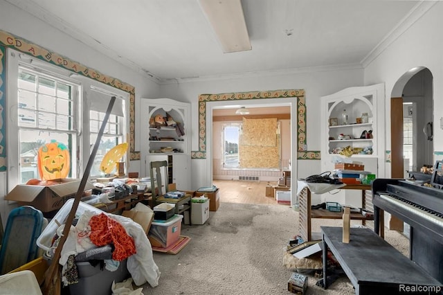 misc room with ornamental molding, a healthy amount of sunlight, and carpet flooring