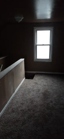 additional living space with carpet flooring