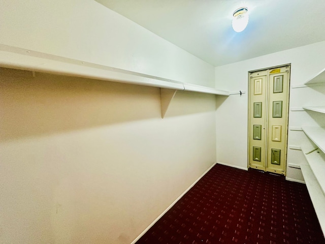 walk in closet with dark carpet