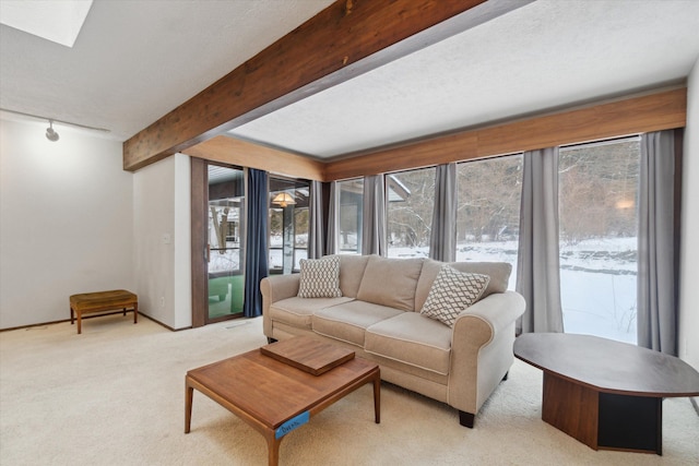 living room with beam ceiling, a skylight, rail lighting, and light carpet