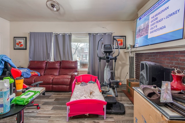 living room with dark hardwood / wood-style flooring