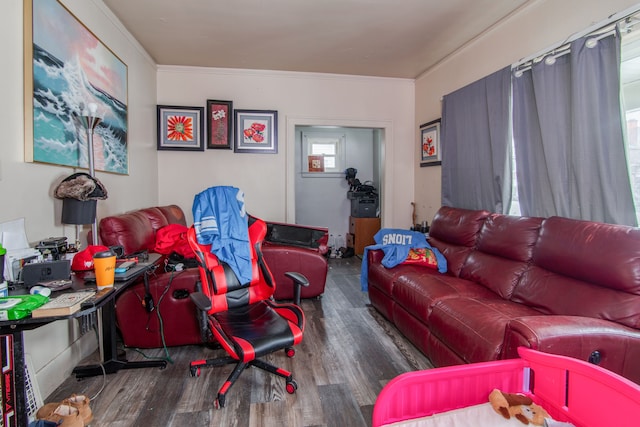 living room featuring dark wood-type flooring and ornamental molding