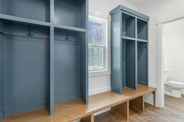 mudroom featuring a healthy amount of sunlight and wood-type flooring