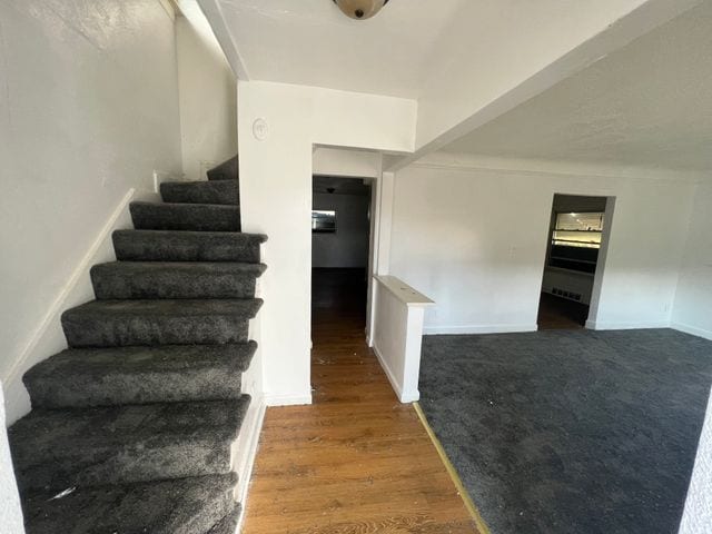 stairs with hardwood / wood-style flooring