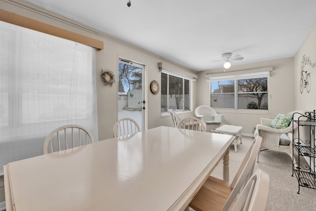 dining area with carpet flooring and ceiling fan