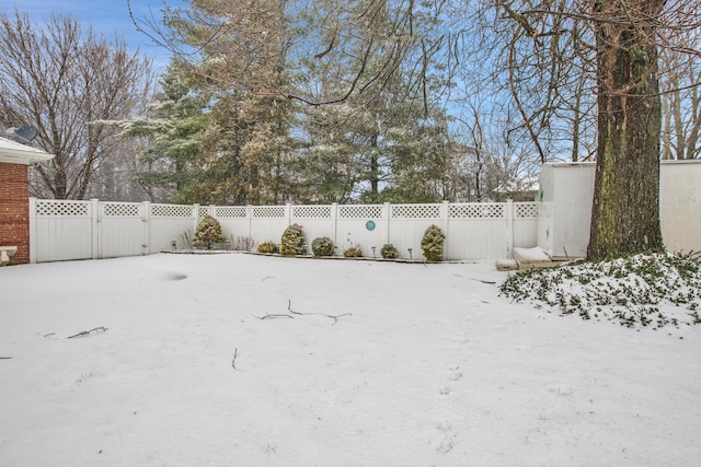 view of yard covered in snow