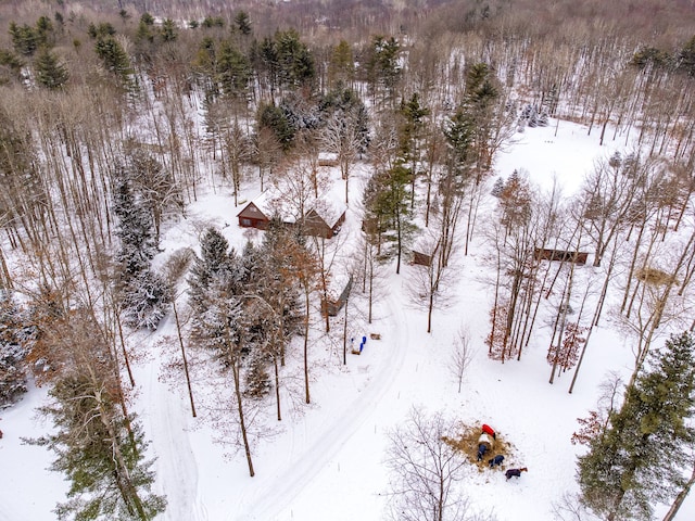 view of snowy aerial view