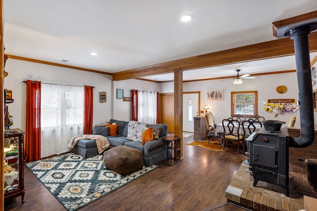 living room featuring a healthy amount of sunlight, dark hardwood / wood-style floors, and a wood stove