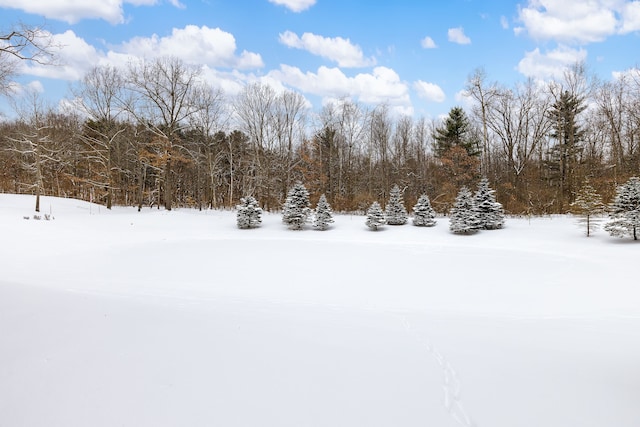 view of yard layered in snow