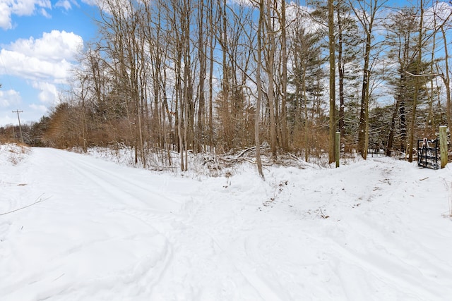 view of yard layered in snow