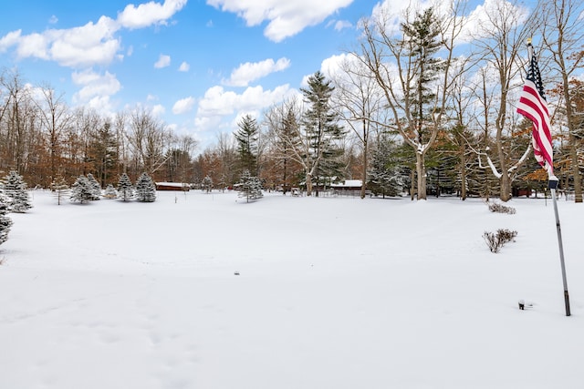 view of yard layered in snow