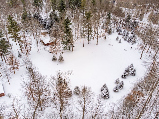 view of snowy aerial view