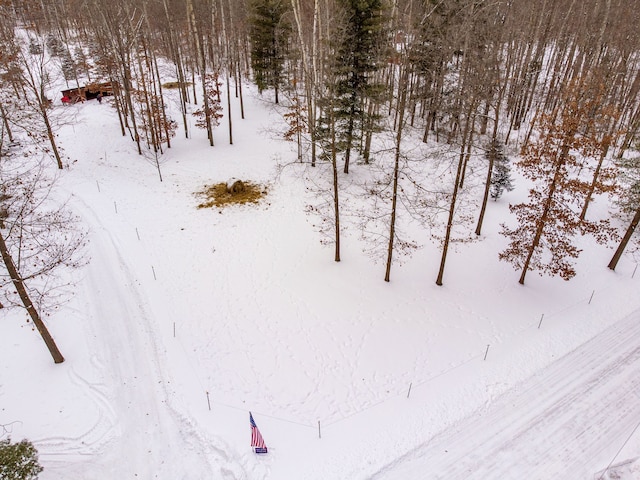 view of snow covered land