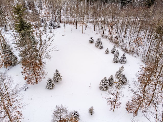 view of snowy aerial view