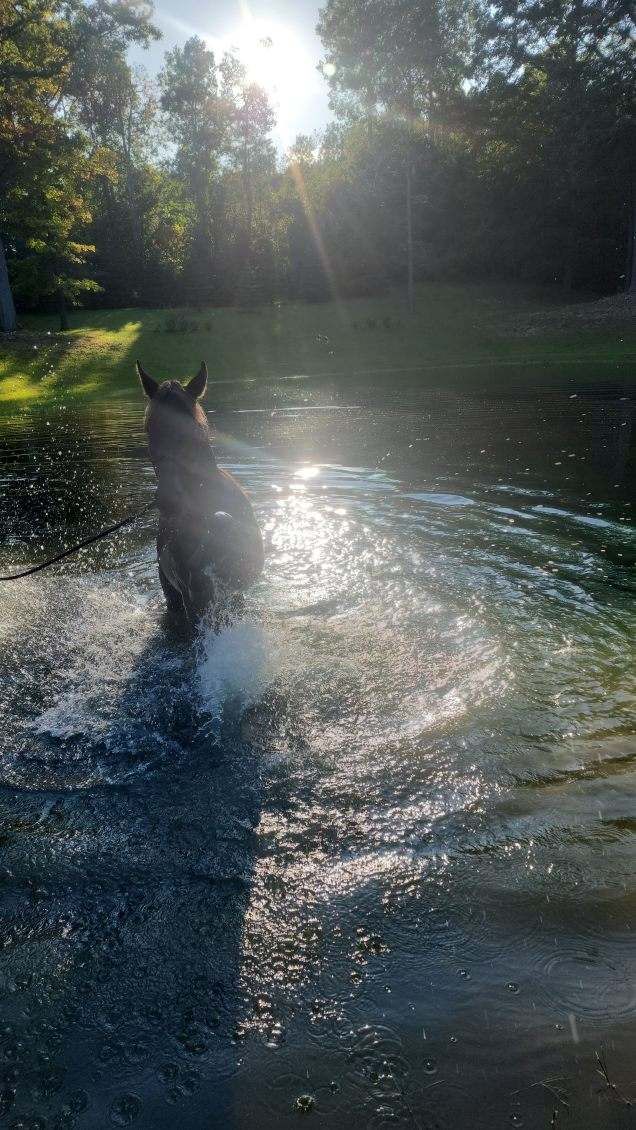 water view